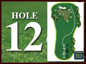 Hole 12