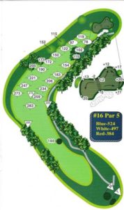 Hole 16 – Forest Hill Golf Course